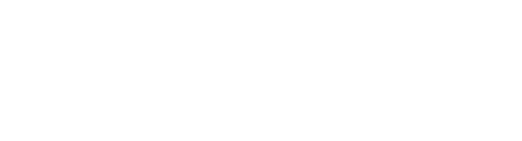 Life Advisors